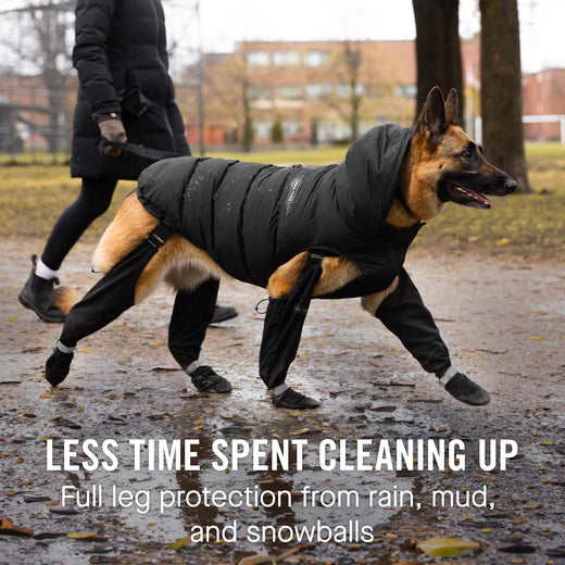 StriderGuard® – Botas impermeables para perros con tirantes