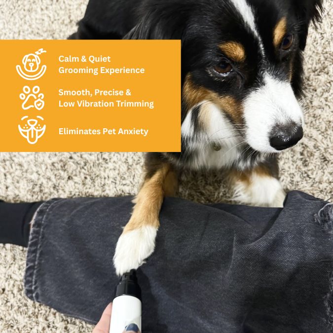 PawfectTrim® – Lima de uñas suave y segura para mascotas