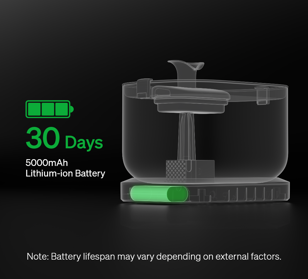 Pawtain® – Fuente de agua automática para gatos