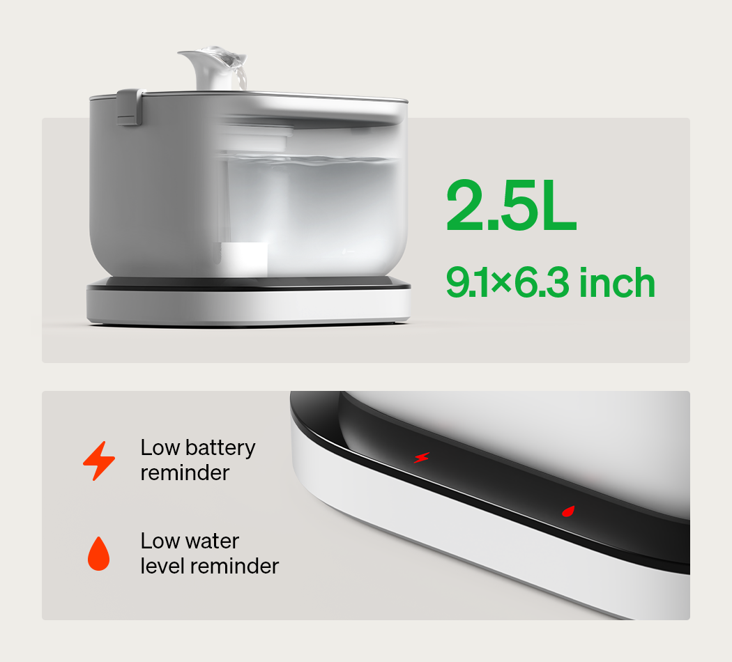 Pawtain® – Fuente de agua automática para gatos