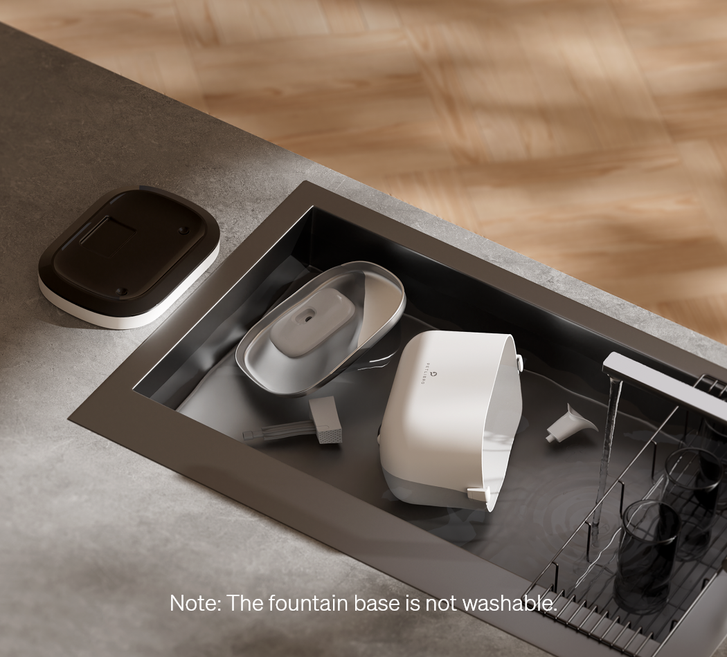 Pawtain® – Fuente de agua automática para gatos