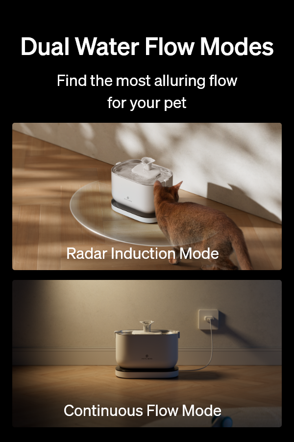 Pawtain® – Fuente de agua automática para gatos