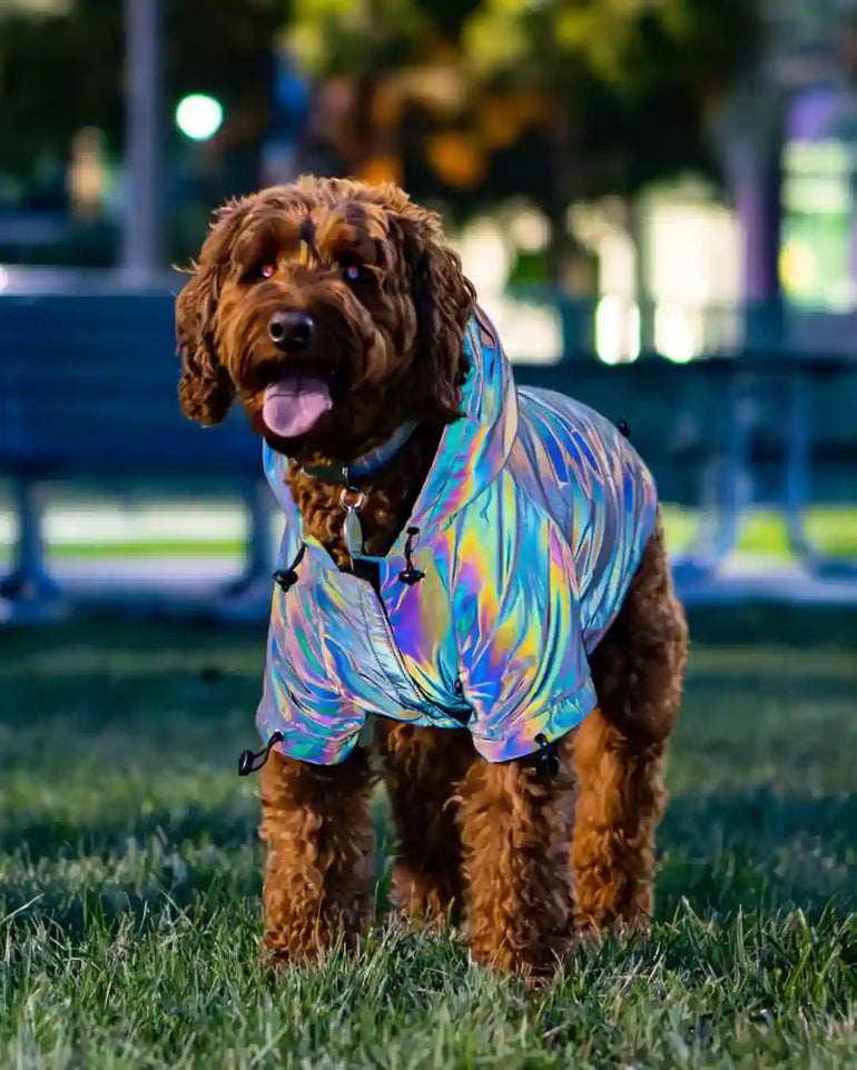 FlashPup® - Ultra-Reflective Dog Jacket