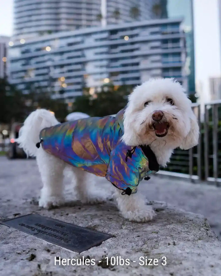 FlashPup® - Ultra-Reflective Dog Jacket