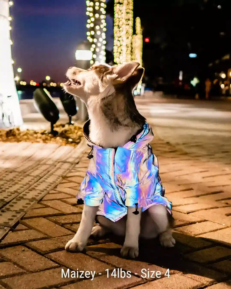 FlashPup® - Ultra-Reflective Dog Jacket