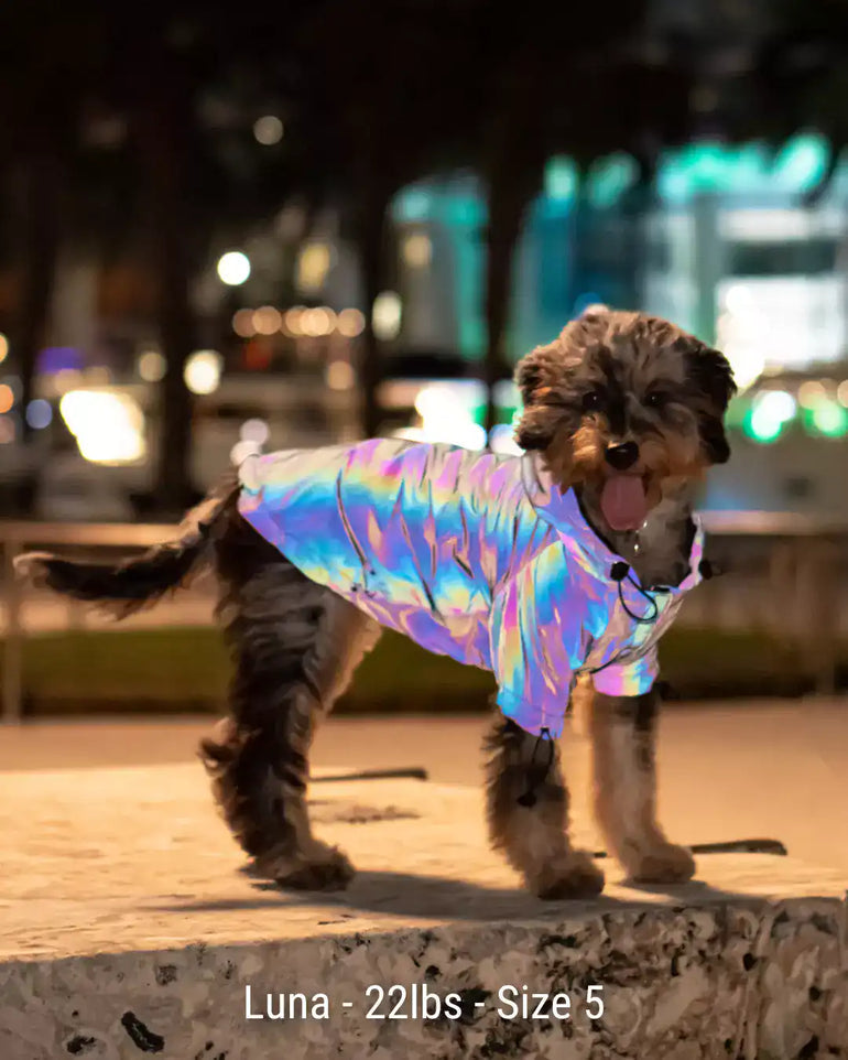 FlashPup® - Ultra-Reflective Dog Jacket