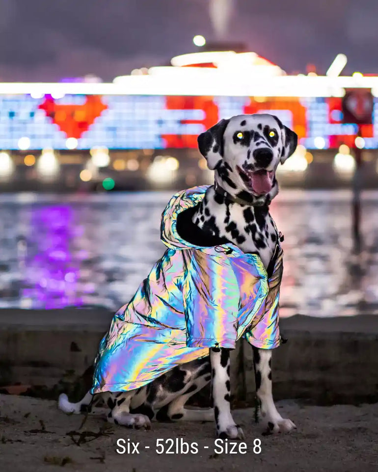 FlashPup® - Ultra-Reflective Dog Jacket