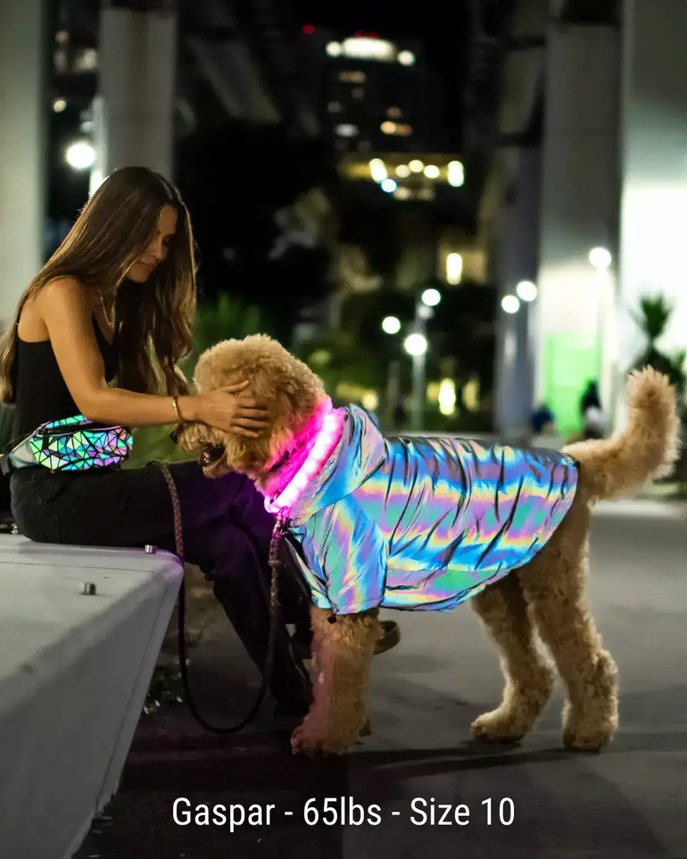 FlashPup® - Ultra-Reflective Dog Jacket