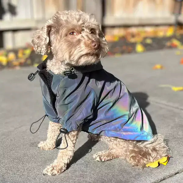 FlashPup® - Ultra-Reflective Dog Jacket